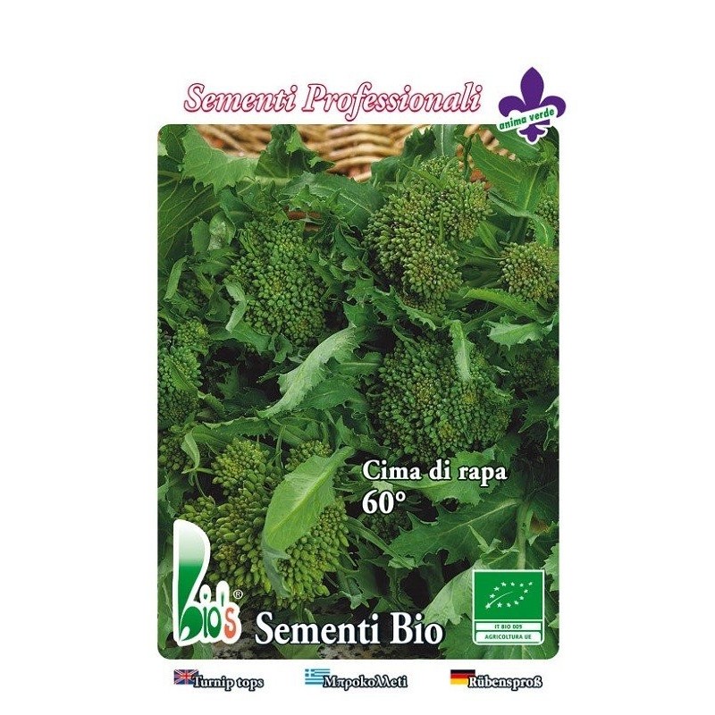 brocoli rapa sessantino - semillas ecolÃ³gicas