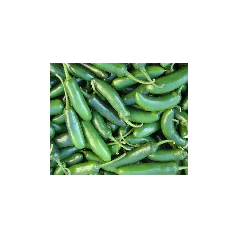 pimiento serrano - semillas no tratadas