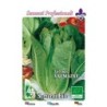 lechuga romana Valmaine - semillas ecologicas