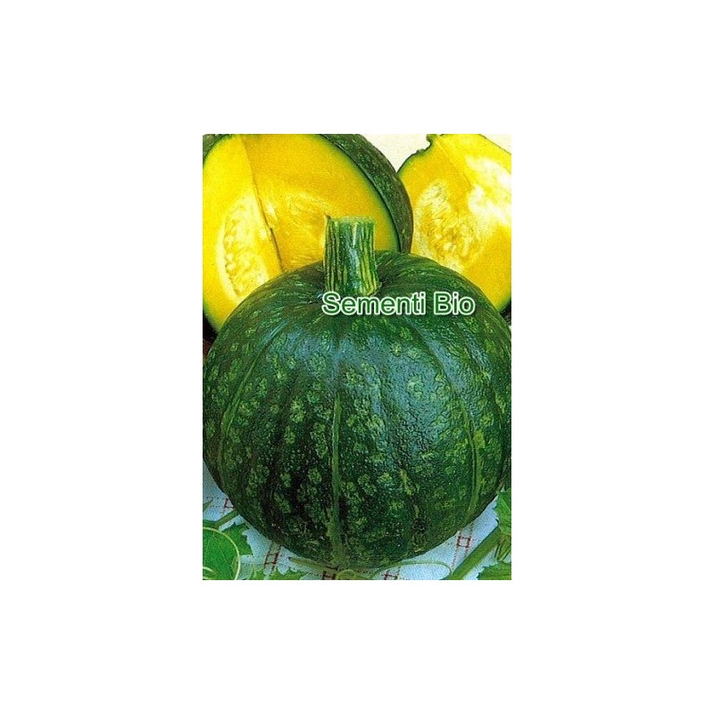 calabaza delica (semillas ecolÃ³gicas)