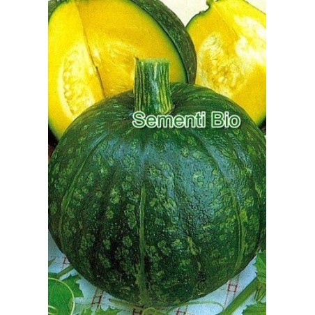calabaza delica (semillas ecolÃ³gicas)