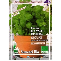 albahaca compacta rivera de Liguria - semillas ecolÃ³gicas