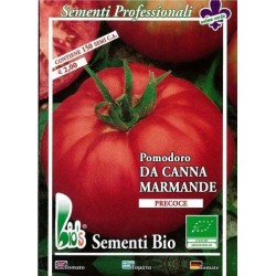 tomate marmande (semillas ecolÃ³gicas)