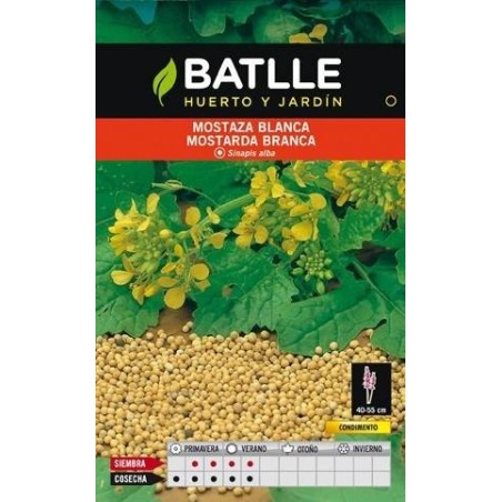 mostaza blanca