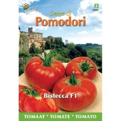 tomate bistecca f1