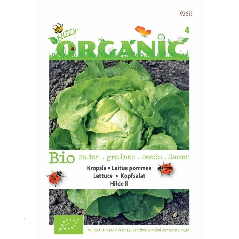 lechuga hilde (semillas ecolÃ³gicas)