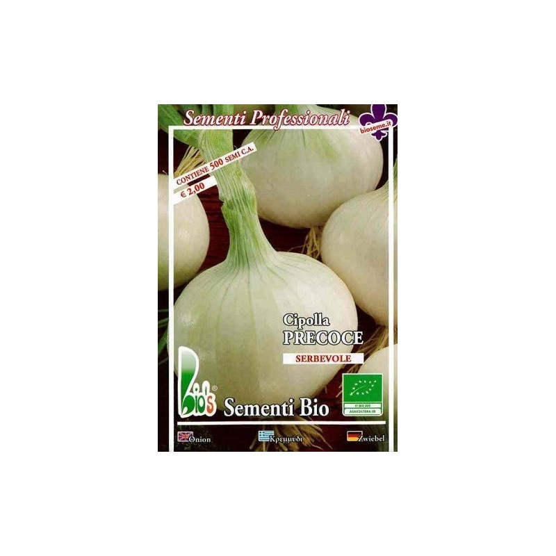 cebolla blanca agostana (semillas ecologicas)
