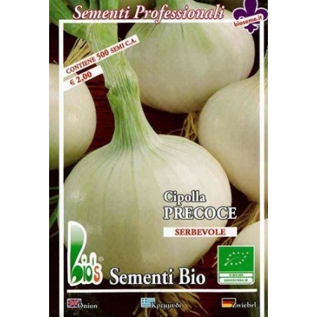 cebolla blanca agostana (semillas ecologicas)