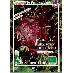 achicoria roja de Verona semillas ecolÃ³gicas