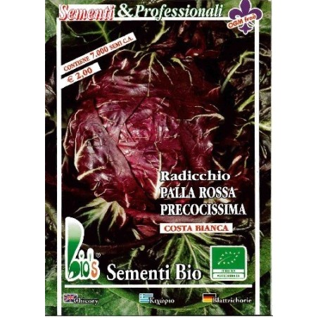 achicoria roja de Verona semillas ecolÃ³gicas