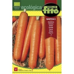 zanahoria nantesa 5 - semillas ecolÃ³gicas