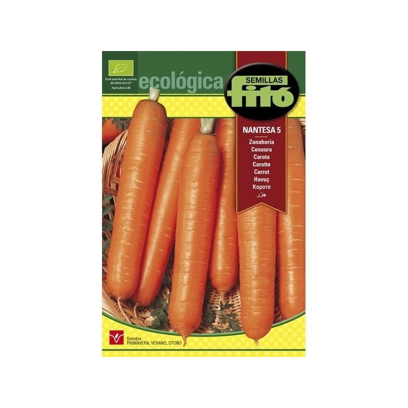 zanahoria nantesa 5 - semillas ecolÃ³gicas