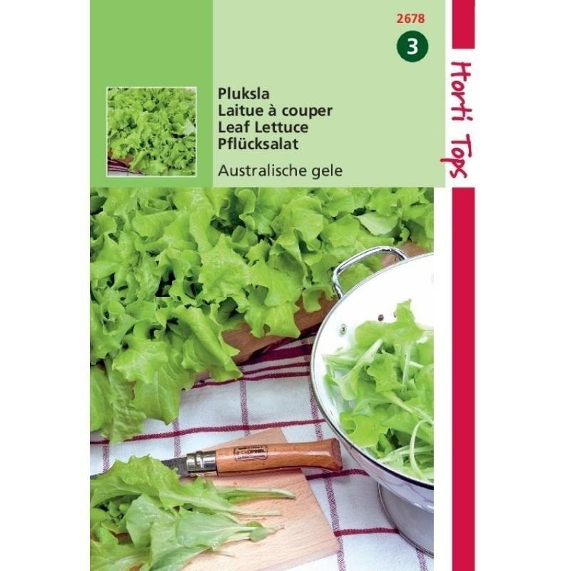 lechuga rubia australiana