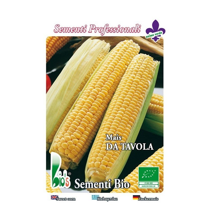 maÃ­z dulce (semillas ecologicas)