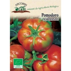 Tomate Marmande (Semillas EcolÃ³gicas Arcoiris)