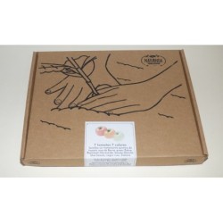 Caja semillas 7 tomates 7 colores