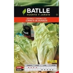 escarola corneta de Burdeos