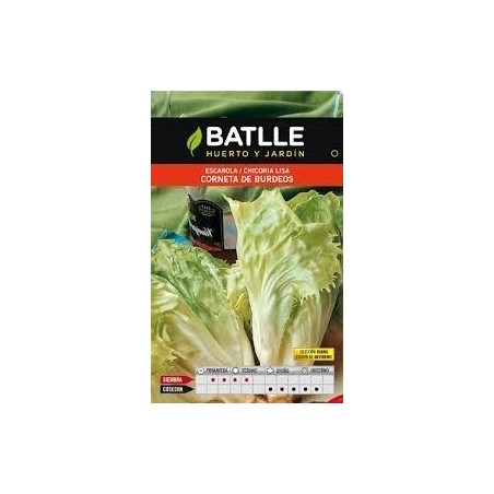 escarola corneta de Burdeos