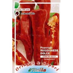 pimiento slonovo uvo (ruggianese) semillas ecolÃ³gicas