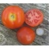 tomate moneymaker (semillas ecolÃ³gicas)