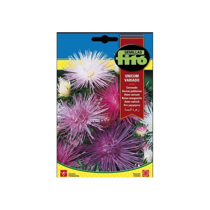 coronado unicum vaiado