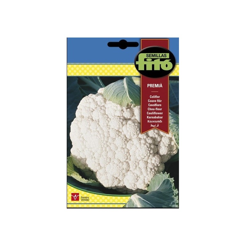 coliflor PremiÃ¡