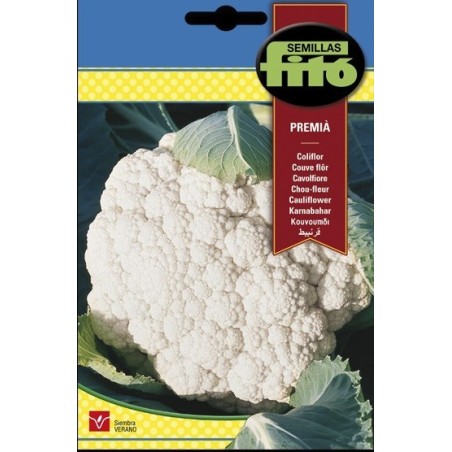 coliflor PremiÃ¡