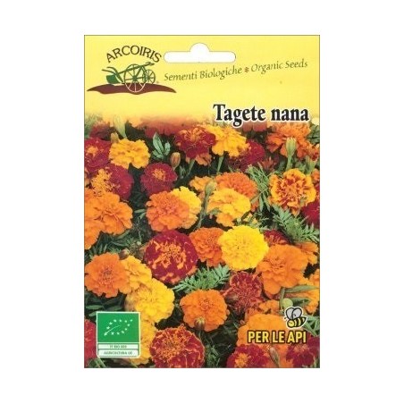 Tagetes patula- semillas ecolÃ³gicas