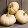 Calabaza F1 Autumn Crown
