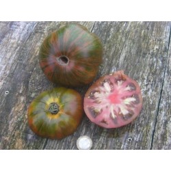 tomate chocolate stripe (semillas ecolÃ³gicas)