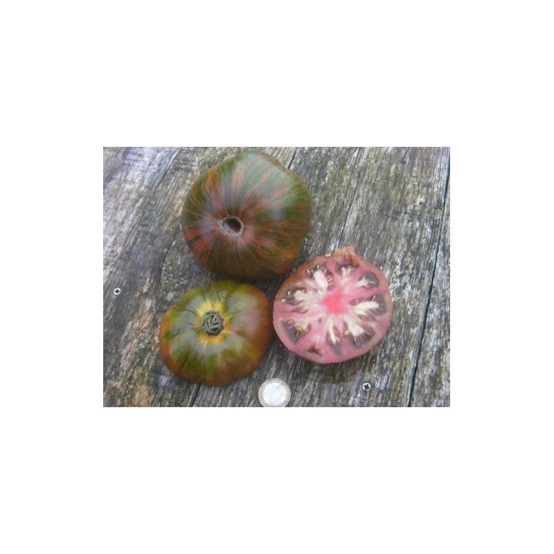 tomate chocolate stripe (semillas ecolÃ³gicas)