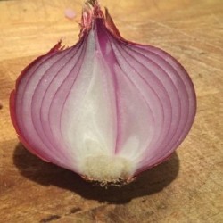 Cebolla de Figueras - semillas no tratadas