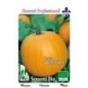 calabaza quintale - atlantic giant- semillas ecolÃ³gicas