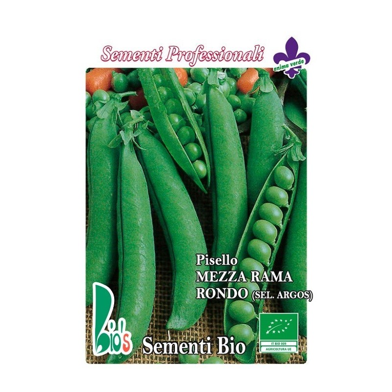 guisante rondo selecciÃ³n argos - semillas ecolÃ³gicas
