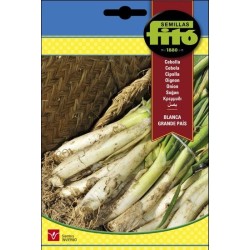 calÃots - cebolla blanca grande de Paris