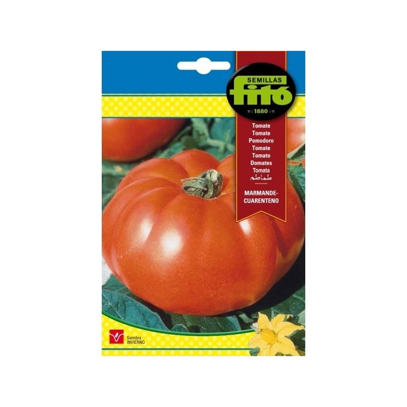 tomate marmande cuarenteno (semillas FitÃ³)