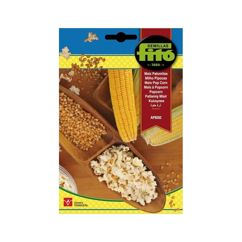 maiz palomitas - pop corn ap8202