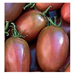 Tomate purpura ucraniano