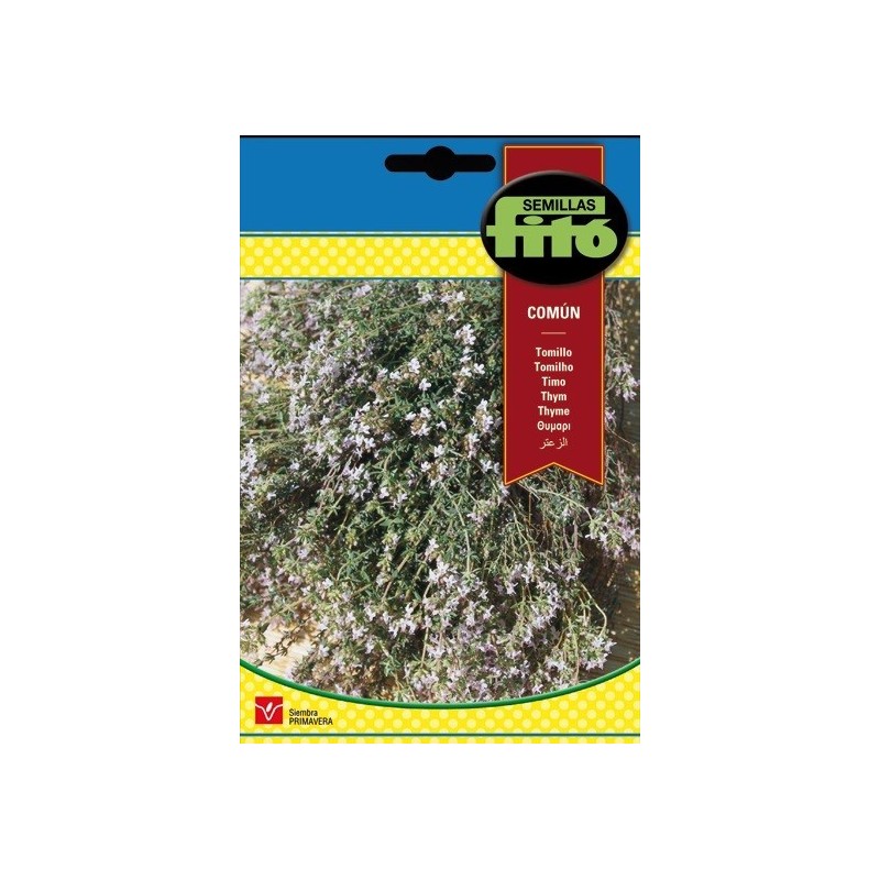 tomillo