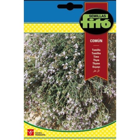 tomillo