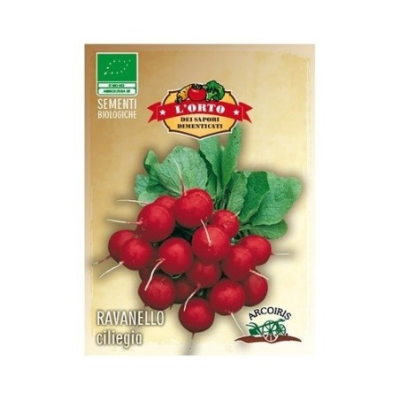 rabanito ciliegia (semillas ecolÃ³gicas)