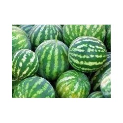 semillas de sandia crimson sweet