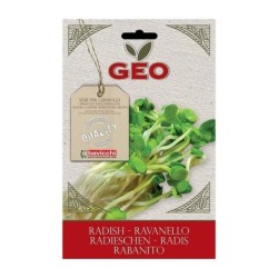 rabanito para germinar geo