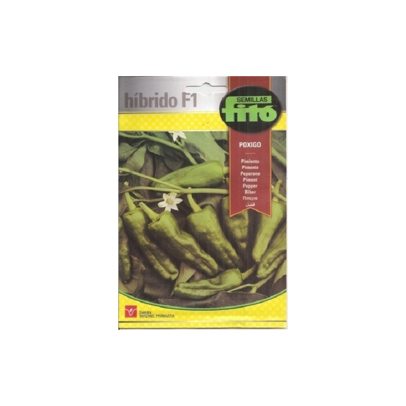 pimiento Poxigo F1