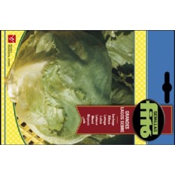 lechuga grandes lagos sebre