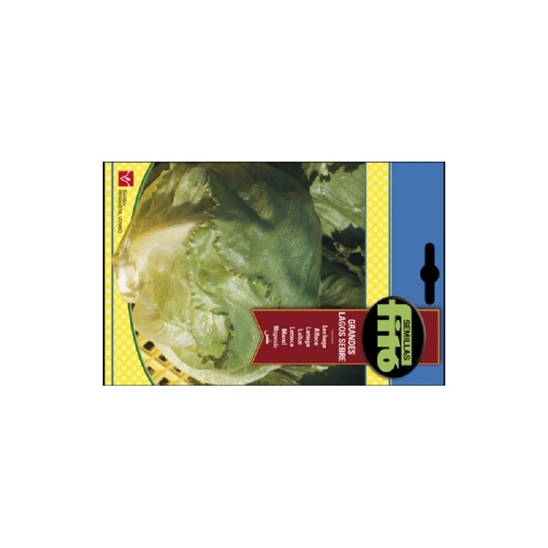 lechuga grandes lagos sebre