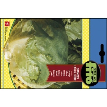 lechuga grandes lagos sebre