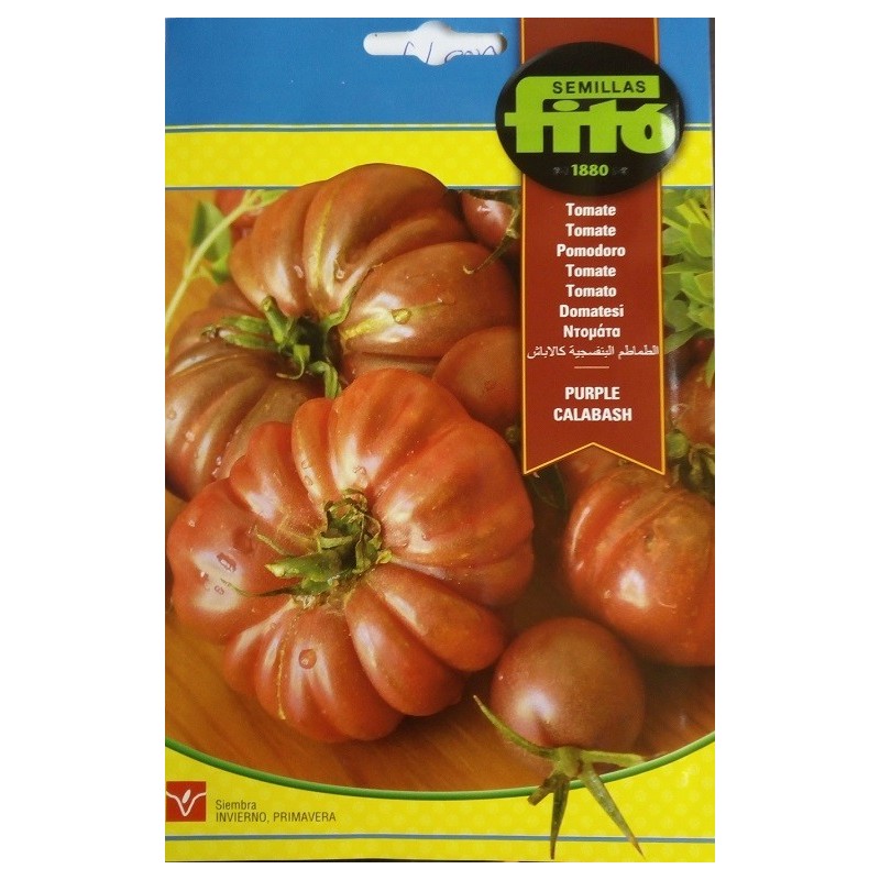 tomate purple calabash