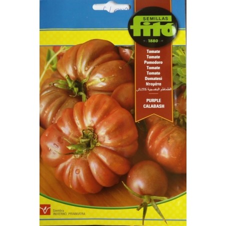 tomate purple calabash