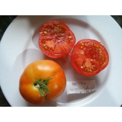 tomate Nepal